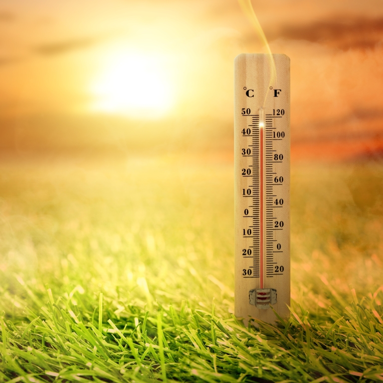 Thermometer in the summer
