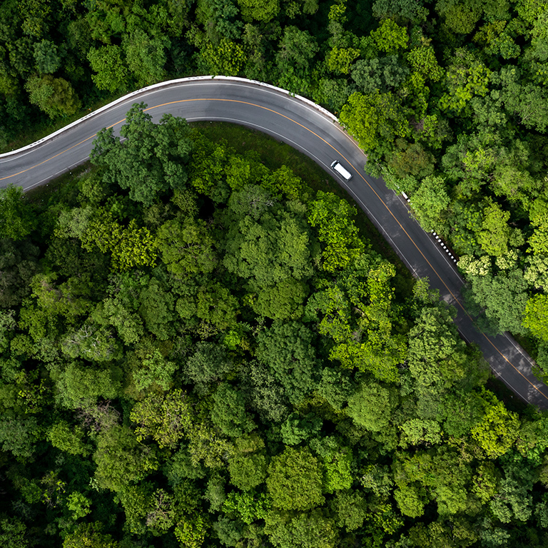 Aerial view green forest with car on the asphalt road, Car drive on the road in the middle of forest trees, Forest road going through forest with car.